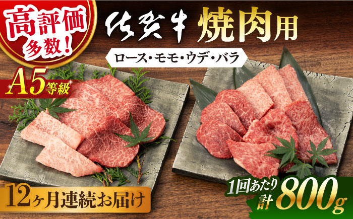 【12回定期便】佐賀牛 A5 厳選部位 焼肉用 800g （400g×2P） / 佐賀牛 佐賀県産黒毛和牛 牛肉 焼肉 焼き肉 BBQ バーベキュー キャンプ【桑原畜産】 [NAB231]