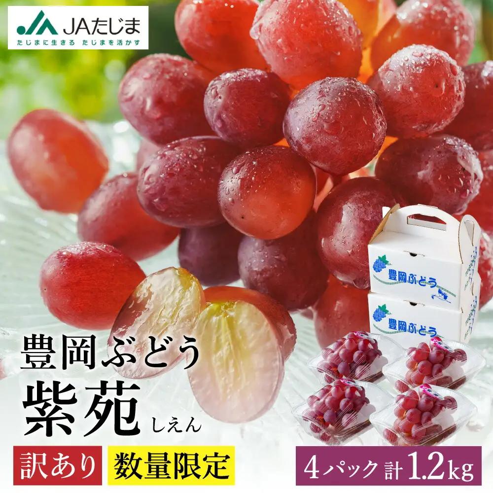紫苑（しえん）豊岡ぶどう 訳あり 約300g×4パック【2026年先行予約・数量限定】