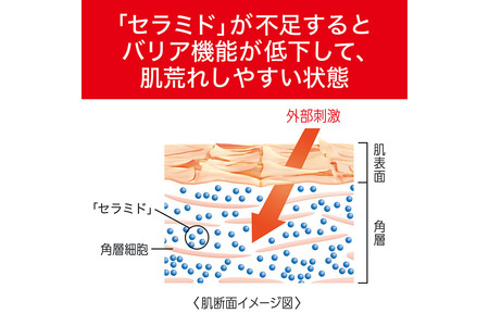 花王　キュレル　潤浸保湿　泡洗顔料　１３０ml　詰替　12個セット【 化粧品 コスメ 神奈川県 小田原市 】