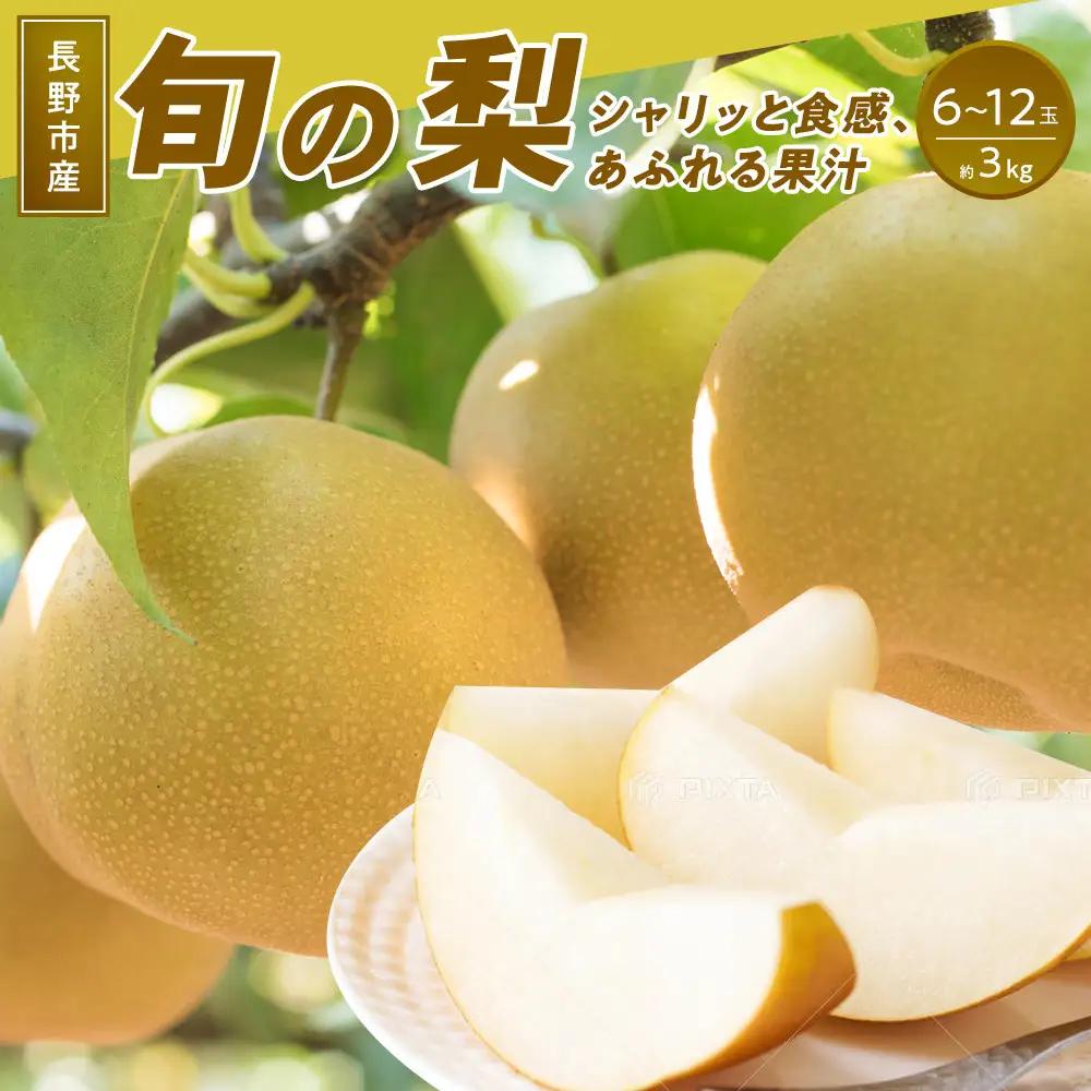 長野市産 梨 3kg（6～12玉）【2026年9月上旬以降発送予定】(さらしな青果) | 梨 フルーツ