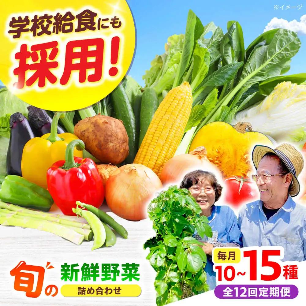 【全12回】高槻野菜 おまかせ詰め合わせ定期便 （10種〜15種）[AOCS021]野菜