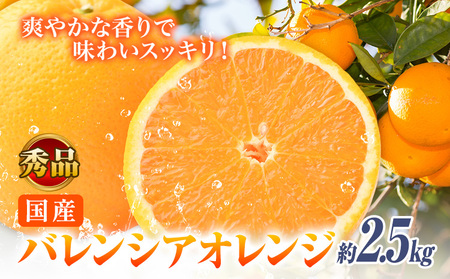 【秀品】希少な国産 バレンシアオレンジ 約2.5kg