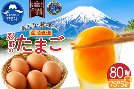 【2月配送分】富士山の麓で育った産地直送 ”忍野の卵”※卵75個+割れ保証5個　計80個