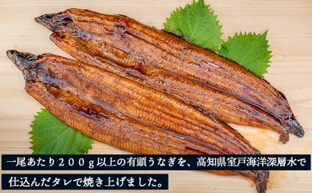 土佐洋特製！高知県産うなぎの蒲焼き 1尾200g以上！　2尾セット（ うなぎ 鰻 ウナギ 蒲焼き うなぎ料理 うなぎグルメ うなぎ好き 須崎産うなぎ 高知県産うなぎ 蒲焼 うなぎ 蒲焼 ウナギ）