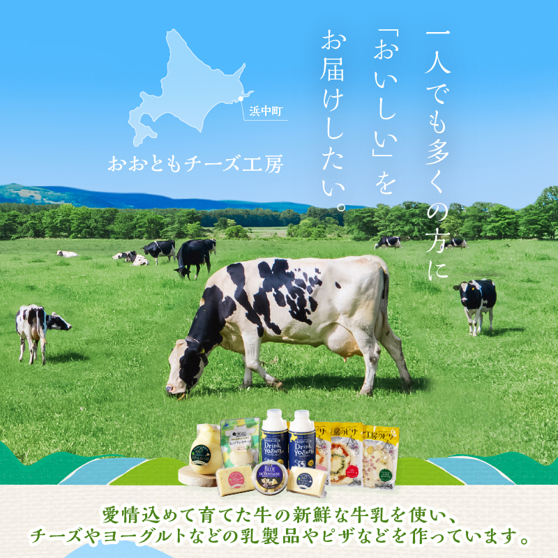まずはお試し!!【おおともチーズ工房】カチョカバロチーズ　180g×1個_H0003-012