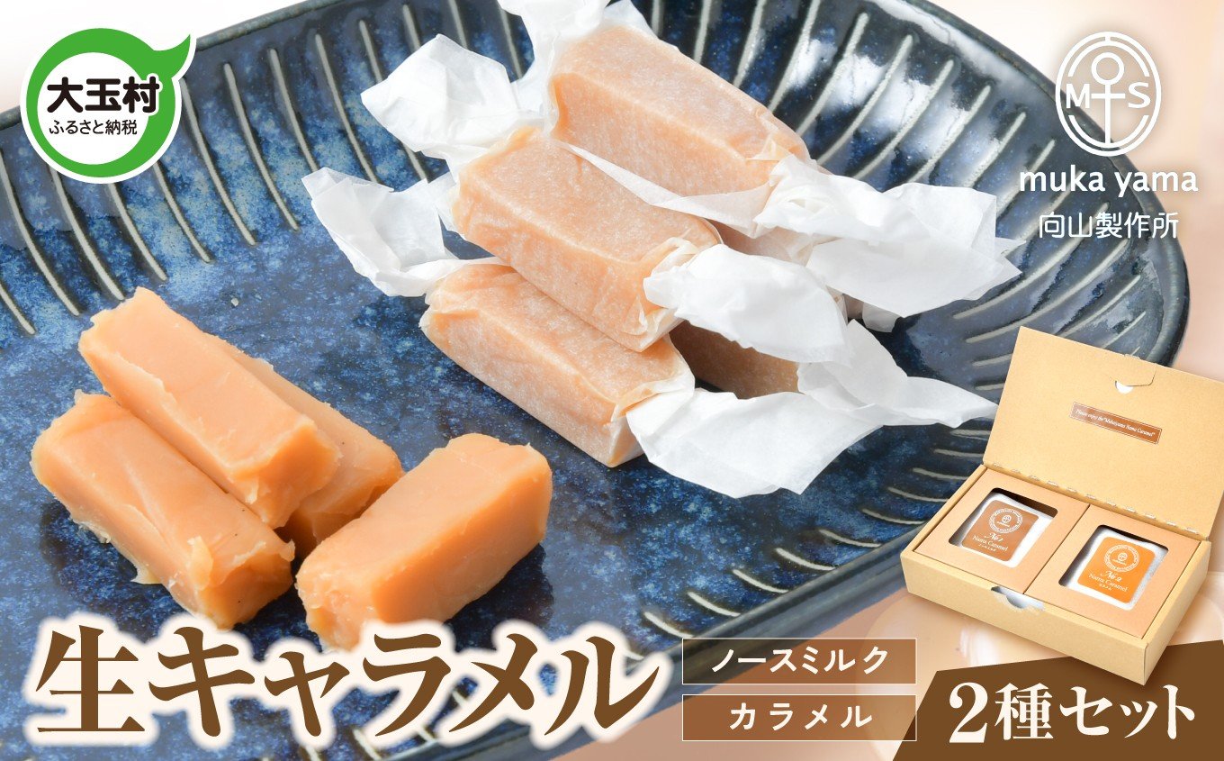 
                  おすすめ 生キャラメル セット 2種 ( ノースミルク ＆ カラメル ) 向山製作所 ｜ スイーツ 人気 詰め合わせ ギフト お歳暮 贈り物 プレゼント 贈答 キャラメル カラメル ミルク ミルクティー キャラメリゼ お取り寄せ 福島県 大玉村 菓子 ｜ my-nc-2s
                