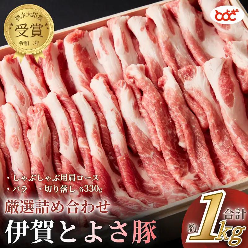 ブランド豚 農水大臣賞受賞　伊賀とよさ豚　厳選詰め合せ1Kg【tysk0001】