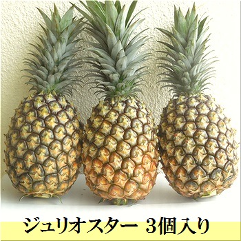 【先行予約】ジュリオスター大玉3個 計3.6kg 《６月上旬より順次発送》SI-45