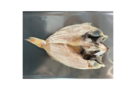 【訳ありでも絶品！】のどぐろ干物７尾セット計800ｇ【浜田港・産地直送】 【025_0436】