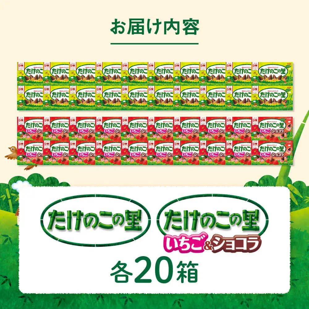 明治 たけのこの里 たけのこの里いちご＆ショコラ 各20箱（計40箱）[AOAA065]