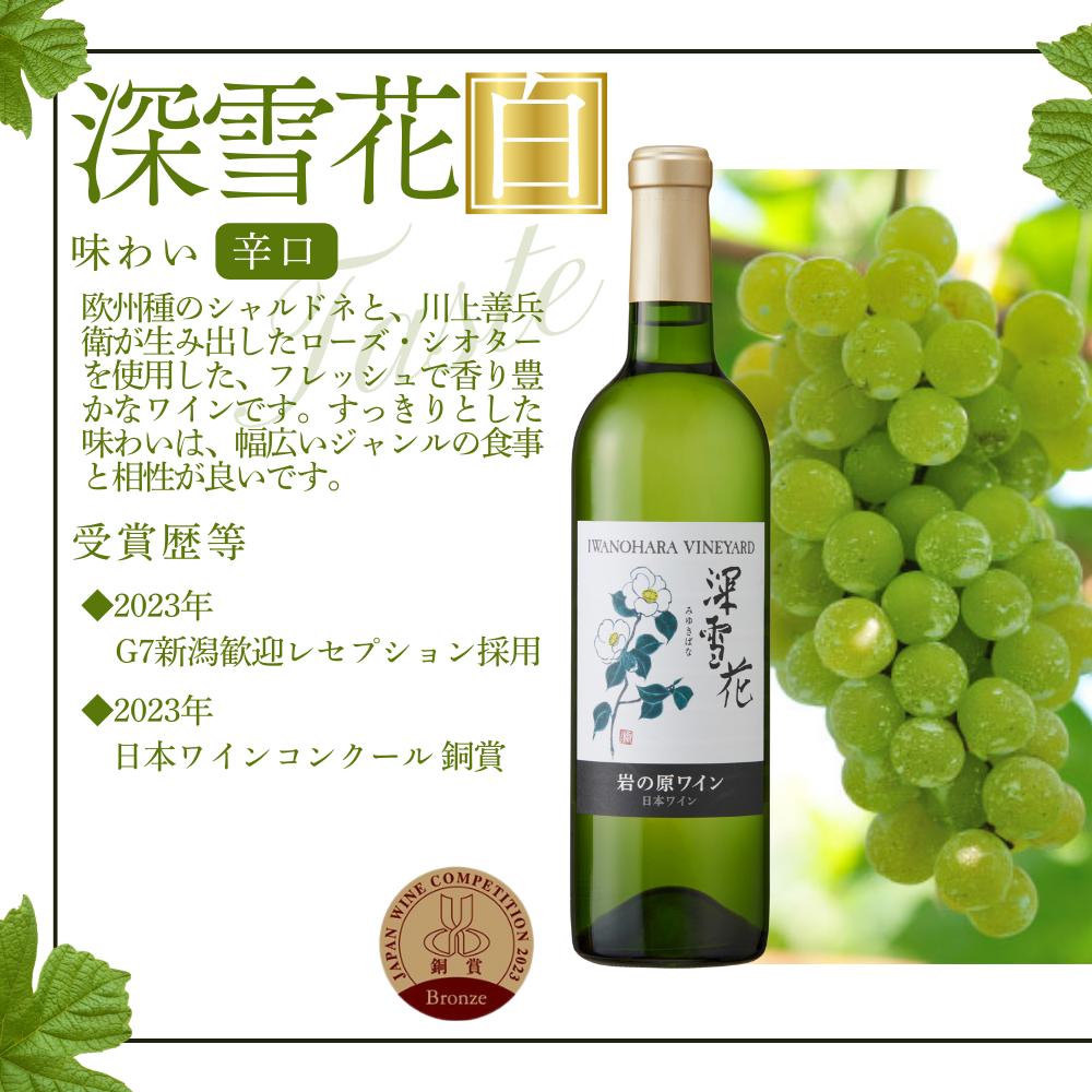 ワイン 岩の原ワイン 深雪花 赤白12本セット（赤×6本、白×6