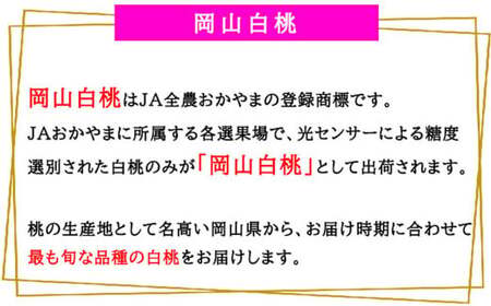 岡山白桃 エース 5～10玉 約2kg 岡山県産 （早生種・中生種） 【2026年7月上旬～8月下旬迄発送予定】 ／ 白桃 桃 もも 果物 果実 フルーツ 岡山県 美咲町 冷蔵