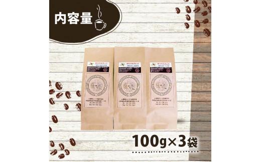 【 オリジナル・ブレンドコーヒー 】 100g×3袋 300g 自家焙煎 高級 ドリップ パック coffee ko-hi- KO-HI- co-hi- CO-HI- COFFEE 豆 粉 フィルター