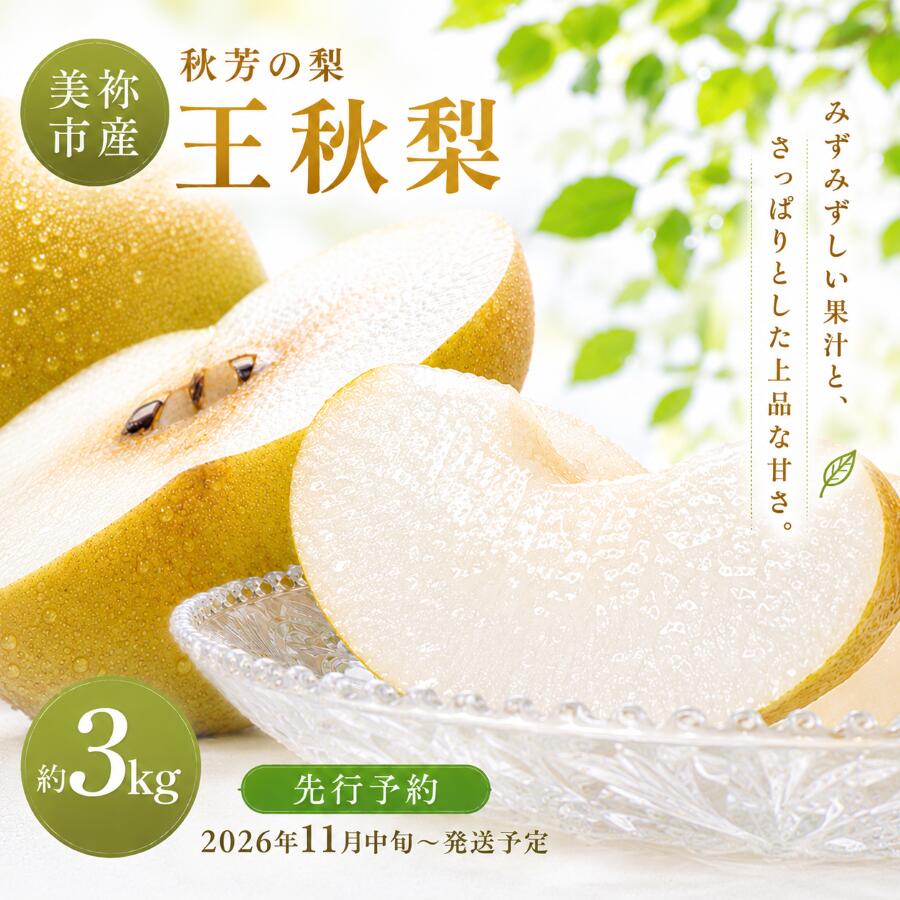 【ふるさと納税】 美祢市産 王秋梨 約 3kg 先行予約 〈2026年 11月中旬頃 〜 11月末発送予定〉｜ 王秋梨 なし 梨 フルーツ 特産品 美祢市 美祢 山口県 山口 秋芳町 秋芳 秋芳の梨 カルスト台地 先行予約