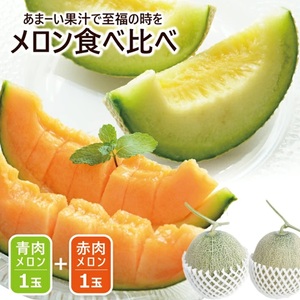 SA2948　美味しいメロンの食べ比べ 「秀品 青肉メロン＆赤肉メロン」　計2玉(各大玉3L・1玉)