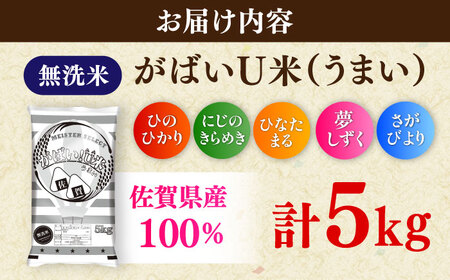 がばいＵ米（うまい）無洗米 5kg / 無洗 国産 九州 / 佐賀県 / 大塚米穀店[41ANAD003]