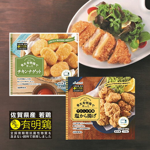 【ふるさと納税】 佐賀県産 骨太 有明鶏 バラエティセット チキンナゲット 塩 から揚げ ササミ チーズ カツ 冷凍 b-424
