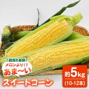 【ふるさと納税】【5月末より発送】先行予約！朝採れ スイートコーン 約5kg（10~12本入り）とうもろこし ＜ちくし農園＞那珂川市 トウモロコシ 生 野菜 採れたて BBQ 甘い ベジタリアン もろこし コーン [GDU001]13000 13000円