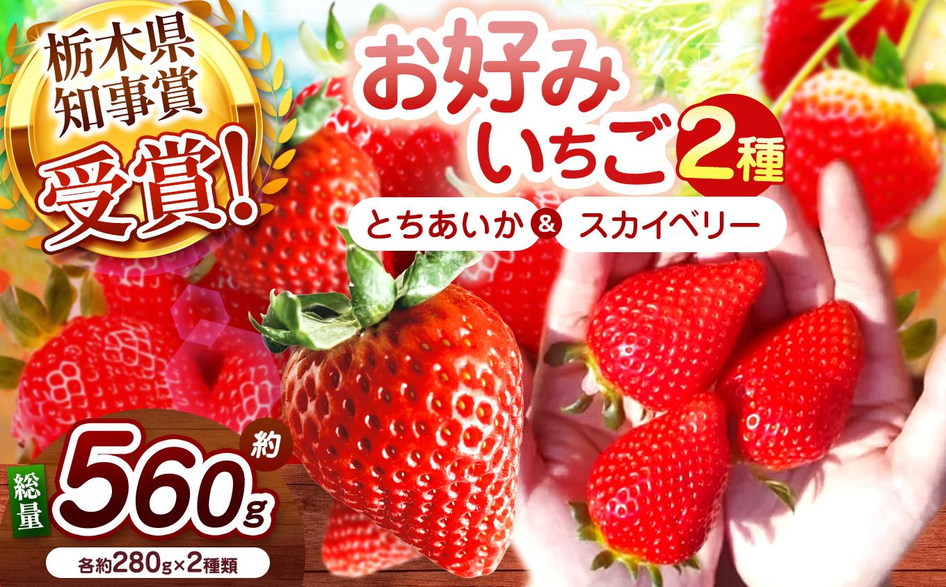 【2027年先行予約】新定番とちあいか＆大粒スカイベリー 食べ比べセット 560g
