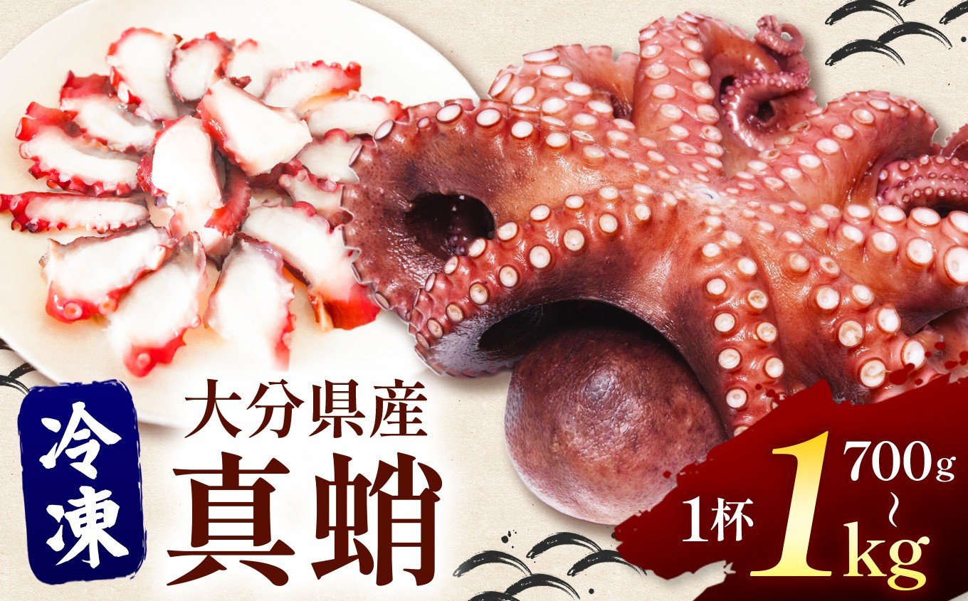 
            【ボイル or 生】選べる真蛸 ( 1杯 ) 700g〜1kg | 冷凍ボイル真蛸 真蛸 特大タコ 蛸 タコ たこ 大分県産 九州産 大分県 中津市 国産
          