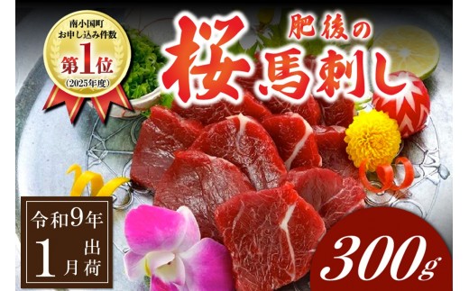 〈令和9年1月出荷〉肥後の桜馬刺し 上赤身 300g