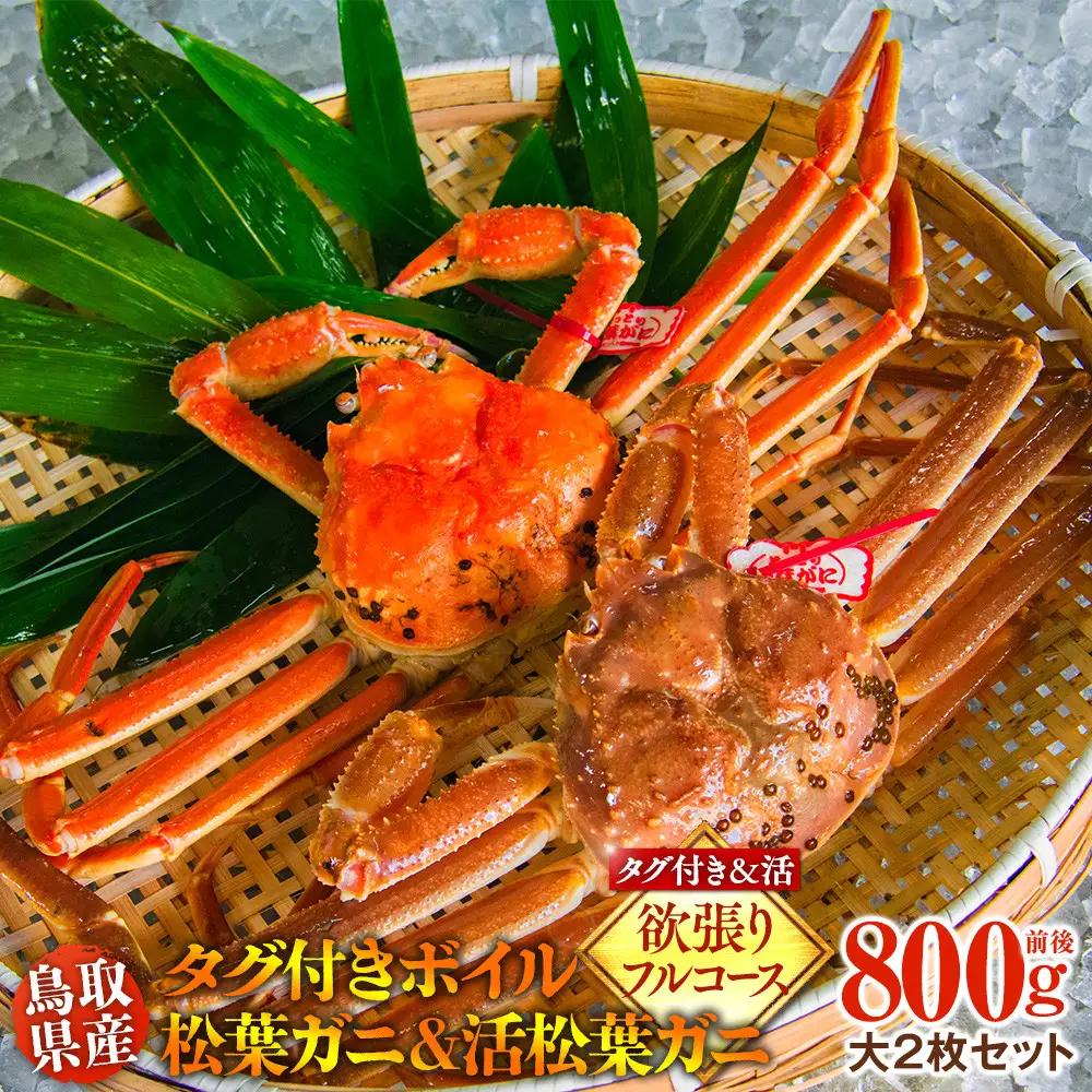 鳥取県産 タグ付きボイル松葉ガニと活松葉ガニの欲張りフルコース大2枚セット  (800g前後) ※2026年11月上旬～2027年3月下旬頃に順次発送予定 松葉ガニ