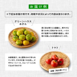 【定期便】産直おすず村 季節の野菜と果物 厳選 詰め合わせセット（大） 【 旬野菜 フルーツ 直売所 産地直送 宮崎県産 】
