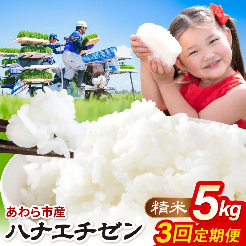 【先行予約】【令和8年産】定期便 ≪3ヶ月連続お届け≫ ハナエチゼン 精米 5kg（計15kg）（農事組合法人イーノなかのはま100）お米 ※2026年10月より順次発送予定 [aw139-b001]