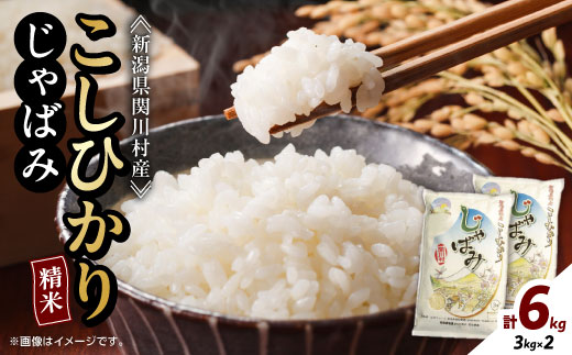 ふっくら食感!R7年産 関川村産コシヒカリ6kg(3kg×2) 丁寧に育てた贅沢米 [山口ファーム]
