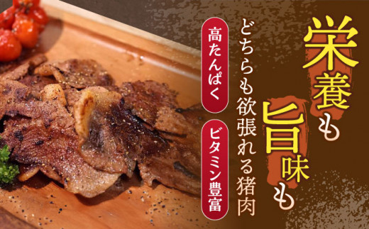 【6回定期便】ジビエ 天然イノシシ肉 バラエティ総量3.8kg / 猪 猪肉 いのしし肉 イノシシ イノシシ肉 いのしし 長崎県猪 川棚町産猪 ぼたん鍋用いのしし 九州産イノシシ【照本食肉加工所】 [