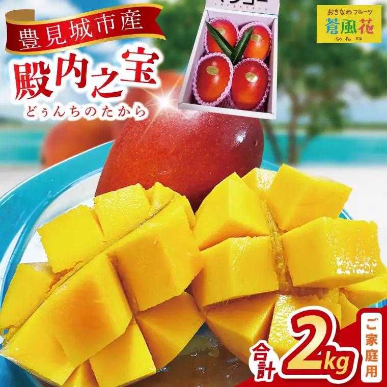 【2027年7月より順次発送】豊見城産マンゴー『殿内之宝(どぅんちのたから)』約2kg(ご家庭用)｜マンゴー フルーツ 果物 くだもの 先行予約 完熟マンゴー 沖縄フルーツ 家庭用 おきなわ 沖縄 沖縄県 豊見城市(DR006)