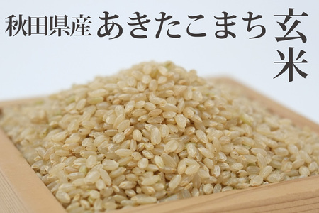 《定期便6ヶ月》【玄米】 あきたこまち 10kg(10kg×1袋)×6回 計60kg  新米 令和5年産（9月下旬より発送予定）