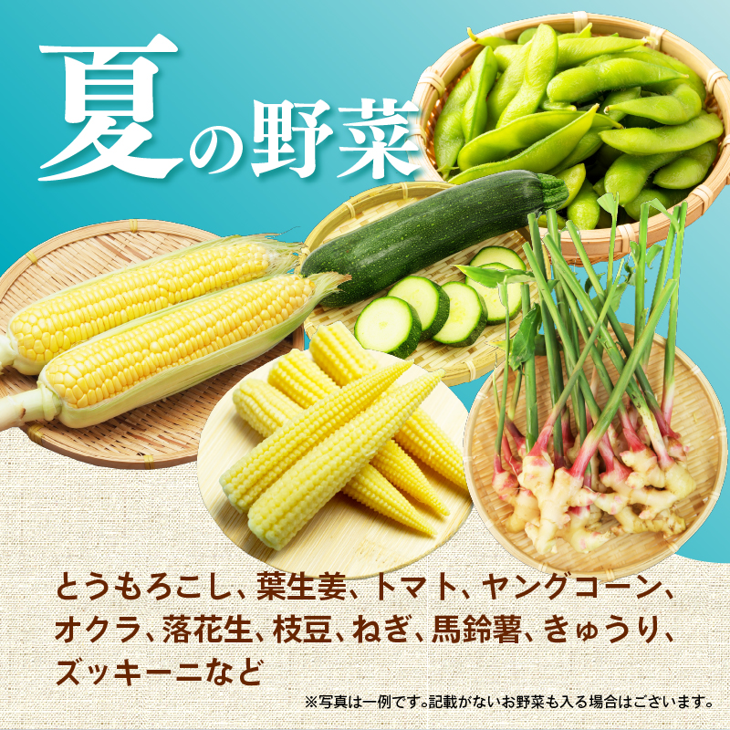 【2026年7月発送 夏野菜】三島野菜詰め合わせセット 8種類以上 JAふじ伊豆 ファーマーズマーケット みしまるかん お取り寄せ グルメ 野菜 旬の詰め合わせ 三島市 静岡県