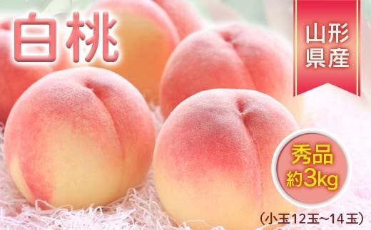 《先行予約 2026年度発送》今年の桃は美味しい！畑直送、小玉ですが秀品3kg！  もも モモ 桃 デザート フルーツ 果物 くだもの 果実 食品 山形県 FSY-2497