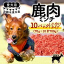 【ふるさと納税】 愛犬用 鹿肉ミンチ 700g (70g×10パック) ( 小分け 鹿肉 ミンチ 手作り 犬用 子犬 成犬 国産 ドッグフード おやつ 餌 エサ 高タンパク ペット用品 ペット 犬 トッピング ジビエ 小分け 個包装 京都 木津川 ）