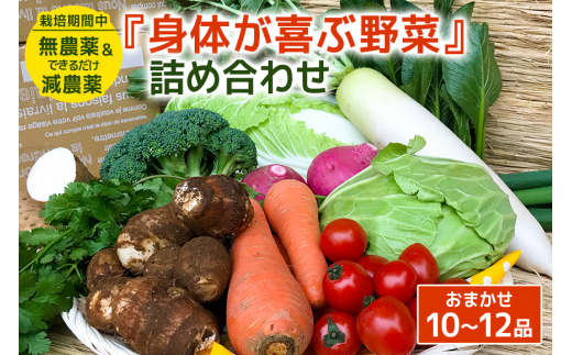 『身体が喜ぶ野菜』詰め合わせ ( おまかせ 10～12品) 野菜 詰合せ 詰め合わせセット お任せ 季節の野菜 セット 栽培期間中農薬不使用 有機栽培 微生物農法 EM農法 露地栽培 産地直送 新鮮 野菜ボックス ギフト 家庭用 茨城県 潮来市 (A03-001)