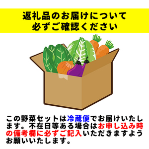 野菜セット 11品 ～ 13品 ／ 野菜 やさい 詰め合わせ 詰合せ 詰合わせ 旬 新鮮 国産 季節 季節野菜 おまかせ 春野菜 夏野菜 秋野菜 山菜 葉野菜 葉物 根菜 果菜 冷蔵 冷蔵発送 家庭用