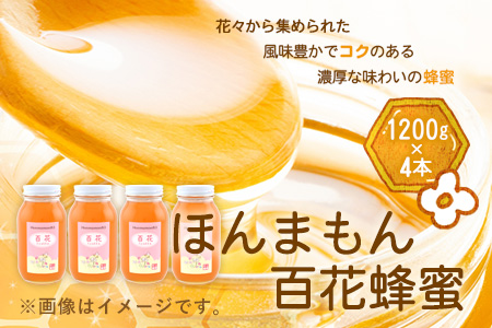 ほんまもん百花蜂蜜 1200g×4本 計4800g 村上養蜂《90日以内に出荷予定(土日祝除く)》和歌山県 紀の川市