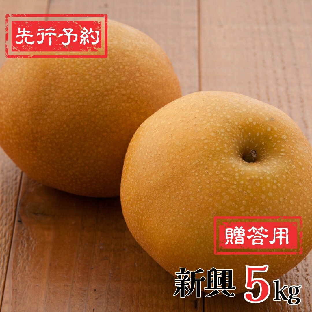【ふるさと納税】先行予約 和梨 新興梨 5kg [11月上旬〜順次発送予定] 新潟県産 梨 [岩福農園] 【010P064】