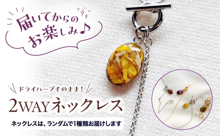 
                  ネックレス ハーブ纏うアクセサリー 2WAYネックレス 【ハーブおまかせ】 ネックレス アクセサリー チェーン ボタニカルアクセサリー レディース ハンドメイド ファッション ハーブ ボタニカル ナチュラル ボタニカルアクセサリー 天然素材アクセサリー 2WAYネックレス Y字ネックレス ドライフラワー 贈り物 ギフト プレゼント 三次市 / SAMPO [APCW001]
                