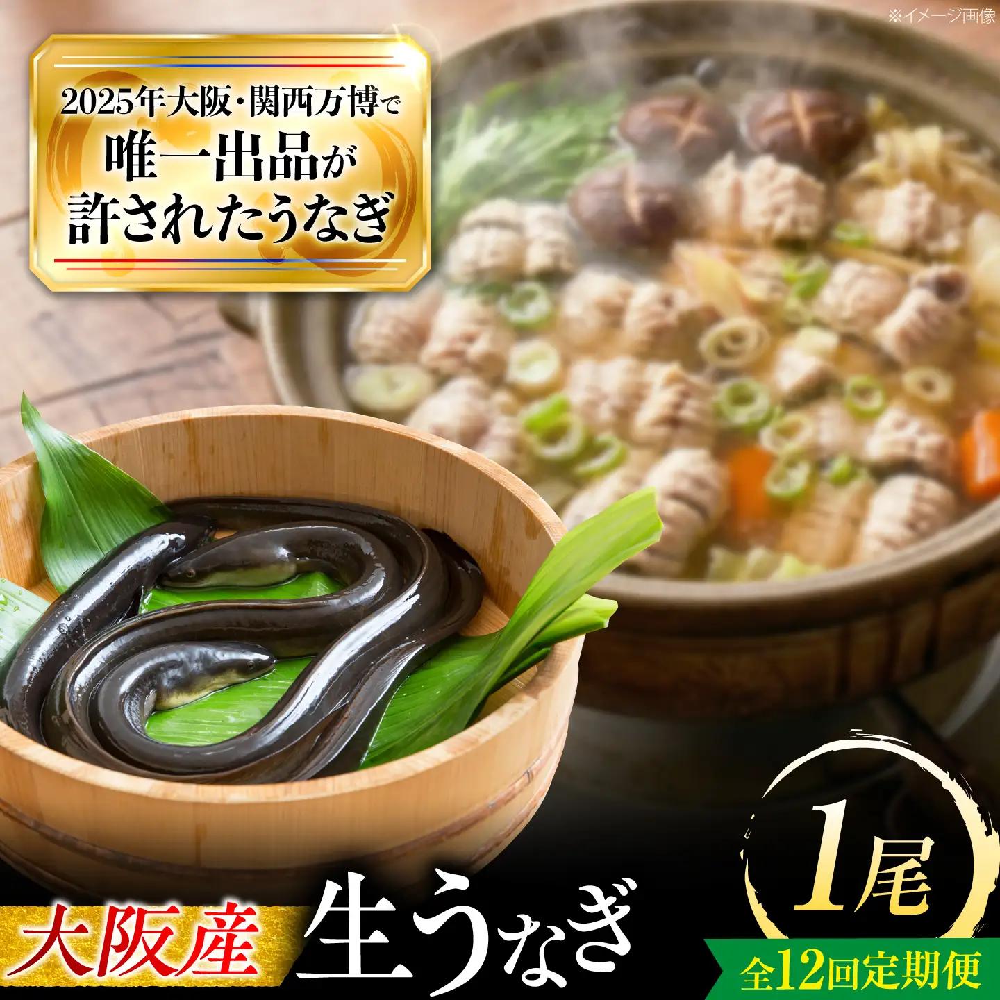 【12回定期便】 鰻 美陵鰻の生鰻 1尾 BLAL062