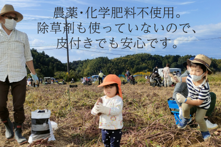 【フードロス対応・規格外】有機サツマイモ　訳ありサツマイモを簡易包装にして増量しました。旬の時期（12月、1月、2月）のみ期間限定発送 2140 さつまいも　甘藷