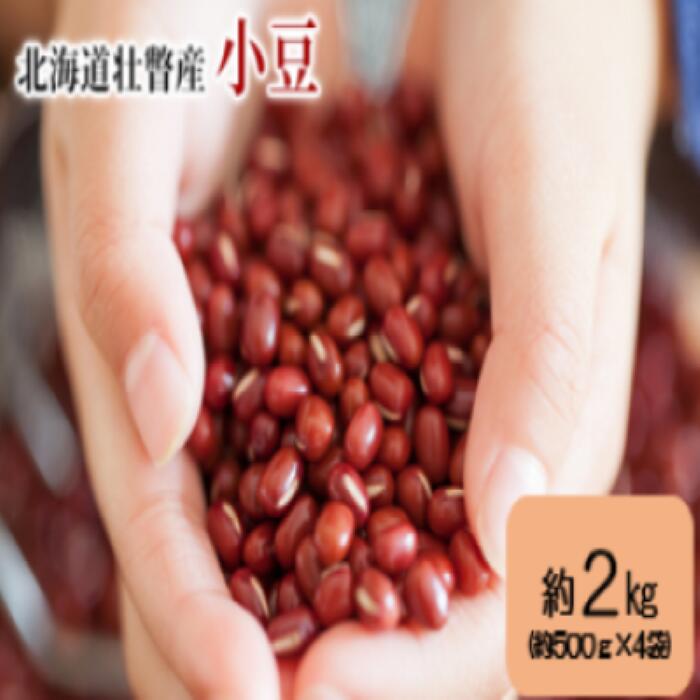 【ふるさと納税】北海道壮瞥産　小豆　約2kg（約500g×4袋）【 ふるさと納税 人気 おすすめ ランキング 北海道 壮瞥 小豆 あずき 豆 あずき茶 赤飯 贈り物 贈物 贈答 ギフト 大容量 詰合せ セット 北海道 壮瞥町 送料無料】 SBTA038