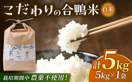 合鴨米 5kg 【あいがもん倶楽部】[ZAR026]