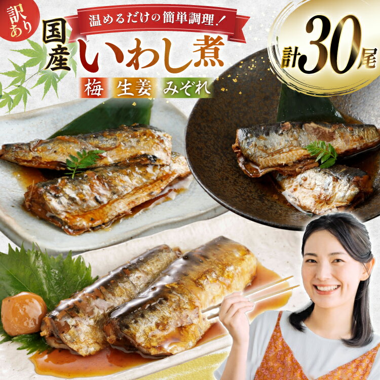 【ふるさと納税】 訳あり 業務用 いわし煮魚 3種 ×10尾 計30尾入 約1.5kg 簡易包装 [カネダイ 宮城県 気仙沼市 20565562] 魚 魚介 煮魚 国産 生姜煮 梅肉煮 みぞれ煮 おかず 焼き魚 簡単 時短 訳アリ 冷凍