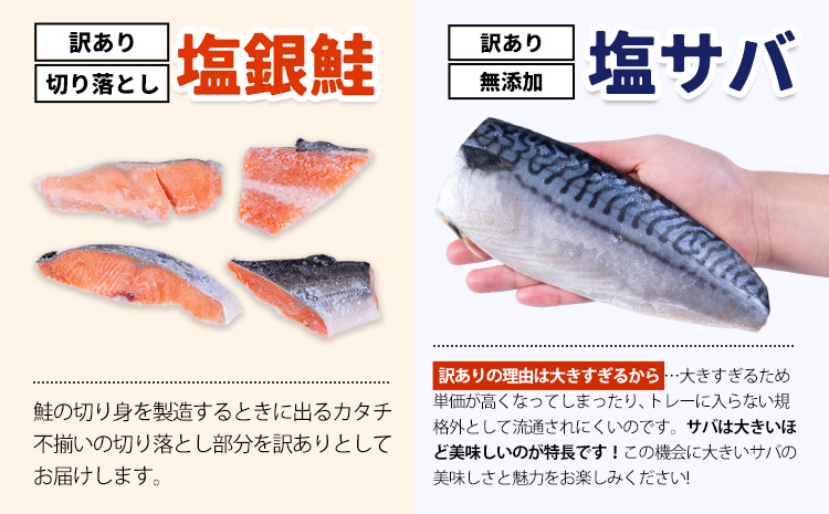 訳あり 人気アイテム 詰め合わせ 塩銀鮭 切り落とし 1.5kg + 塩サバ 1kg 合計 約 2.5kg 株式会社西川 《6月上旬-6月末頃出荷》千葉県 勝浦市 塩銀鮭 塩サバ 魚 切り落とし 冷凍