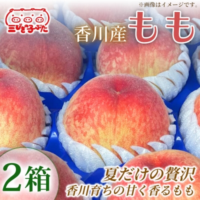 
                  ＜とろけるジューシー＞香川産大玉ももで贅沢なひととき もも　2箱【1727337】
                