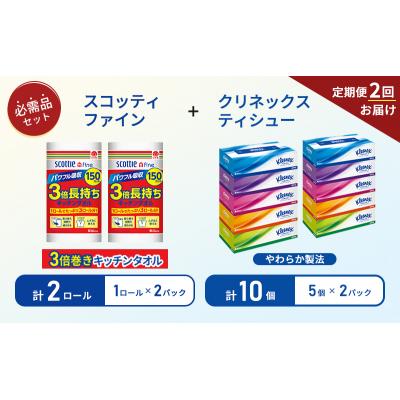 ふるさと納税 岩沼市 【6ヶ月ごと計2回お届け】ティッシュ+キッチンペーパー2P[No.5704-1799] |  | 01