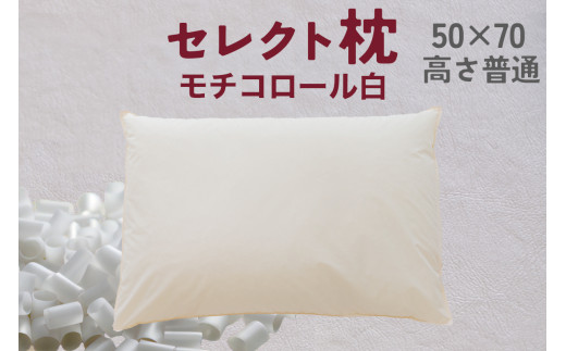 セレクト枕 モチコロール白 標準タイプ 高さ普通 （50×70cm）《60日以内に出荷予定(土日祝除く)》