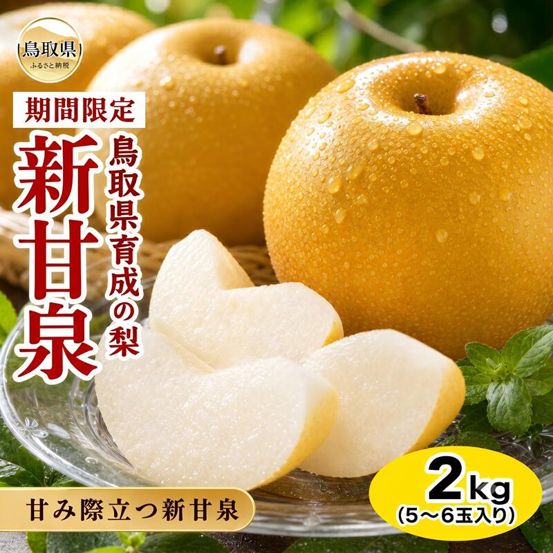【ふるさと納税】鳥取県育成の梨 新甘泉 2kg箱 5～6玉 期間・数量限定_T2600262